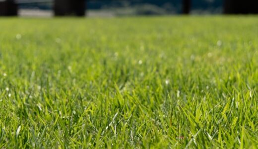 【実体験】防草シート付き人工芝で庭の景観UP！裸足で遊べて、草取りも不要に！